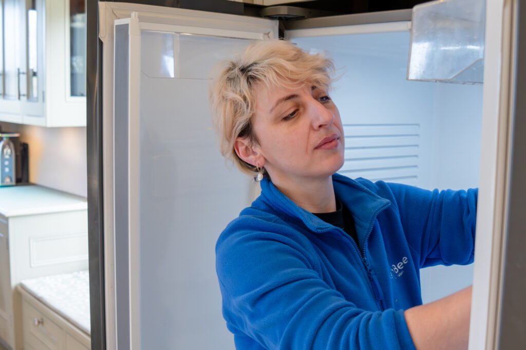 professional house cleaning